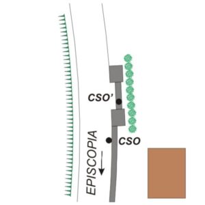 0203#_###_080# - S.P. 4 - KM 84+300