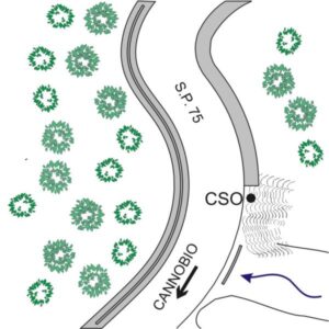 0207#_###_032# - S.P. 75 - KM 16+600