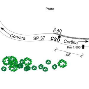 0210#_###_002# - SP 37 "DI SAN CASSIANO" KM 1,500