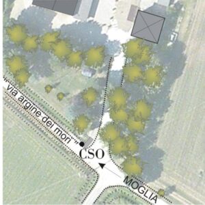 0211#_###_005# - VIA ARGINE DEI MORI: QUADRIVIO