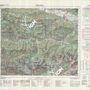 033 (TARVISIO) Anno: 1982