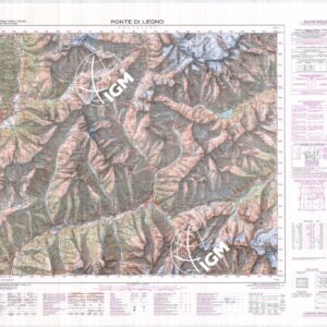 041 (PONTE DI LEGNO) Anno: 1976