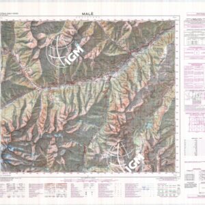 042 (MALE) Anno: 1976