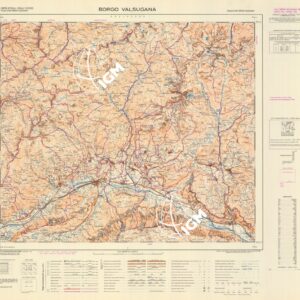 061 (BORGO VALSUGANA) Anno: 1965