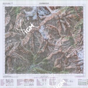 089 (COURMAYEUR) Anno: 1996