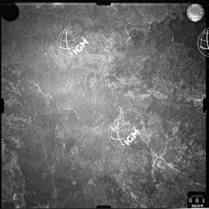 237-1953-XIX-100