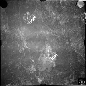 237-1953-XIX-103