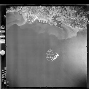 82-1954-51-1161