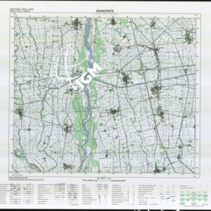 116 III (Biandrate) Anno: 1995