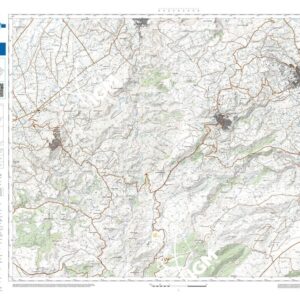 15 38 (Scordia) Anno: 2022