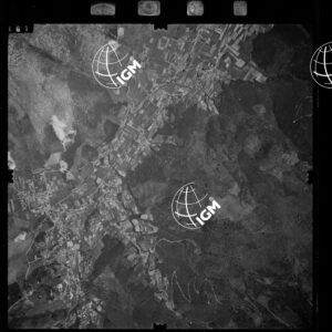 105-1973-VIII-161