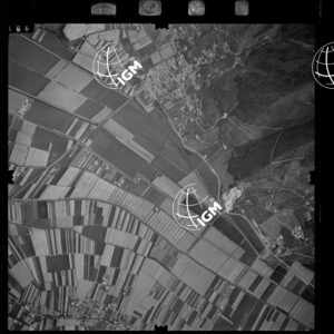 105-1973-VIII-166