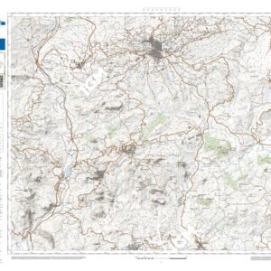 17 33 (Mussomeli) Anno: 2022