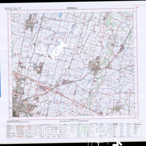 182 III (Sòrbolo) Anno: 2004