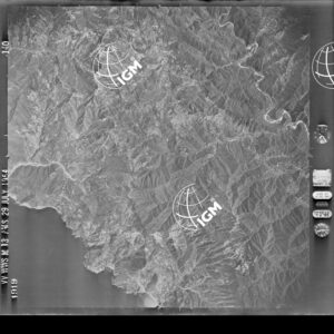95-1954-53-1919