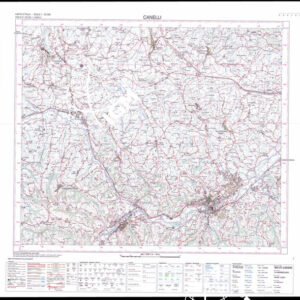 193 I (Canelli) Anno: 2007