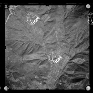 106-1963-M-194