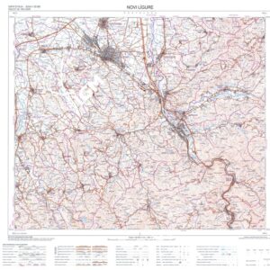 195 (NOVI LIGURE) Anno: 2010