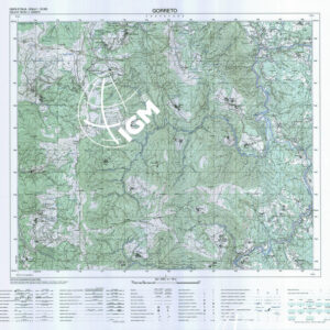 196 II (Gorreto) Anno: 1996