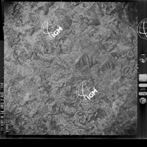 86-1954-49A-1981