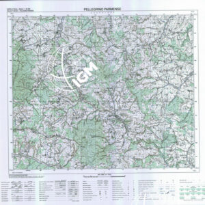 198 I (Pellegrino Parmense) Anno: 1996