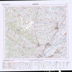 199 IV (Medesano) Anno: 2004