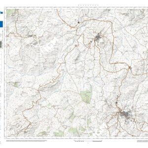 19 32 (Vicari) Anno: 2022