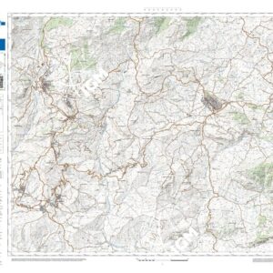 19 35 (Petralia Sottana) Anno: 2022