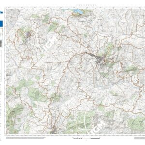 19 37 (Cerami) Anno: 2022