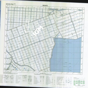 205 III (Menate) Anno: 1995