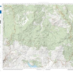 20 37 (Capizzi) Anno: 2022