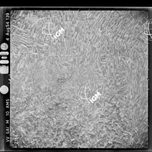 100-1954-38-2156