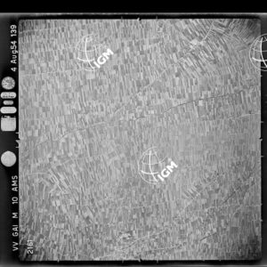 100-1954-38-2161