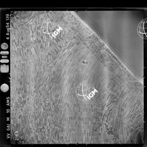 100-1954-38-2163