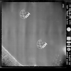 101-1954-39-2166