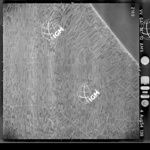 100-1954-39-2169