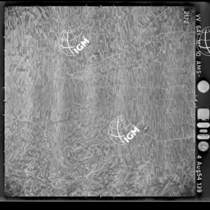 100-1954-39-2172