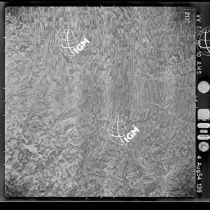 100-1954-39-2173