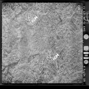 100-1954-39-2181