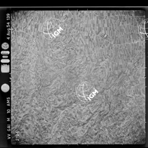 100-1954-40-2194