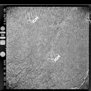 100-1954-40-2195