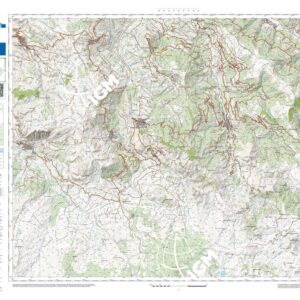 21 38 (Tortorici) Anno: 2022