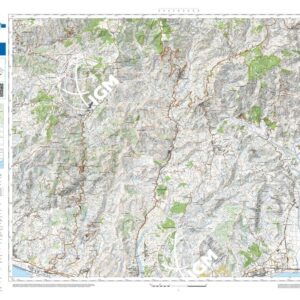 21 43 (Bagaladi) Anno: 2022