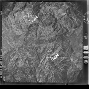83-1954-49-2220