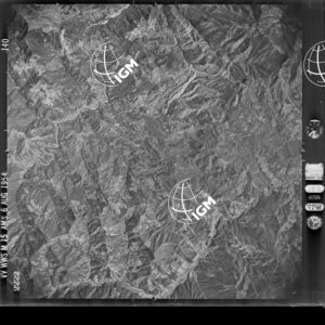 83-1954-49-2222