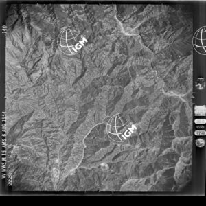 82-1954-49-2228