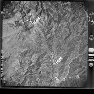 82-1954-49-2229