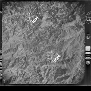82-1954-49-2231