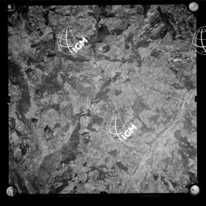 106-1963-XXI-225
