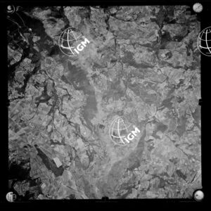 106-1963-XXI-226